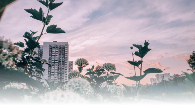 Building in Harmony