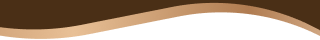 SecondSection 